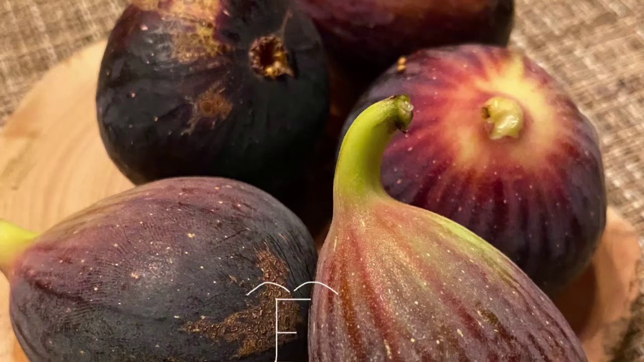 FigBid - Online Auctions of Fig Trees, Fig Cuttings & Growing