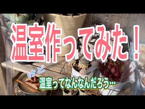 温室栽培初心者向け必須アイテム6選！これだけ揃えれば初めての冬も失敗しない