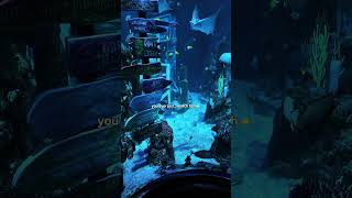 Celebrate Earth Day at SEA LIFE Aquarium! Home to over 5,000 marine creatures 🐠