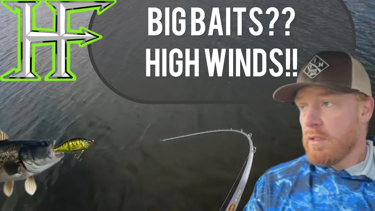 Jerk Bait and Glide Bait Bass Fishing in HIGH WINDS!  MAYHEM On the WATER🔥