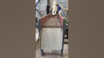 Debris separator #equipment #fyp #machine #screen #screeningmachine #separator #Malaysia #Indonesia