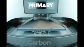 Primary Mfg build, Bone Structure, time lapse