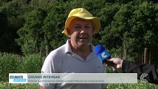 Chuvas intensas afetam a produção e podem elevar...