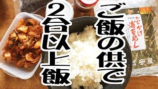 御飯のお供で2合以上飯【大盛り】【飯動画】【大食い】