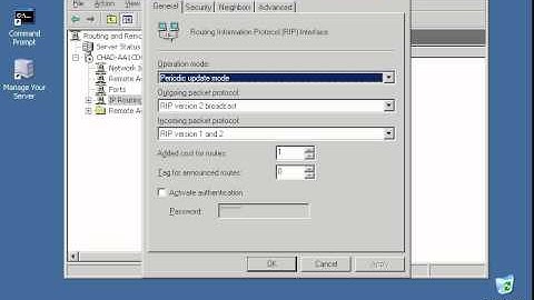Installing and using RIP in Windows Server 2003.avi
