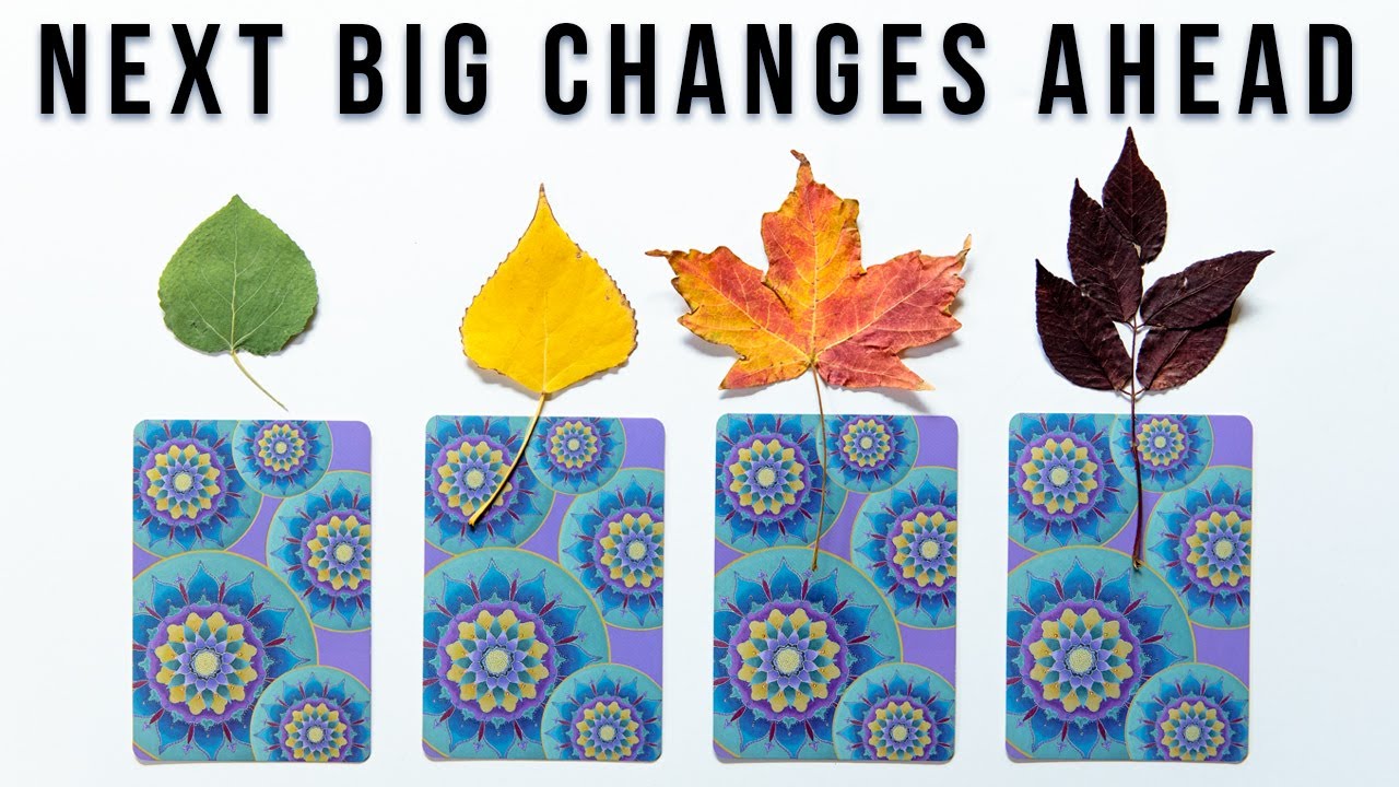 🌸🍁 PICK A CARD • WHAT ARE THE NEXT BIG CHANGES COMING!? 🍁🌸 - YouTube