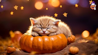 LIVE 24/7 Happy Halloween: Peaceful Music for Cats | Calming Music to Relax Cats & Anxiety Relief