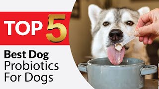 Top 5 Best Probiotics for Dogs in 2026 [Tested & Reviewed]