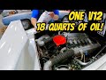 The Ridiculous 18 Quart Lamborghini Countach Oil Change