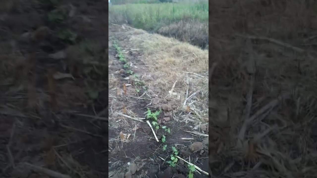 Льгота по внесению удобрений или освобождение от налогов для нужд фермеров в области орошения