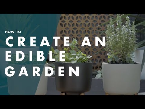 How To Create An Edible Garden