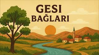 Gesi Bağları Anadolu Psychedelic Rock Cover