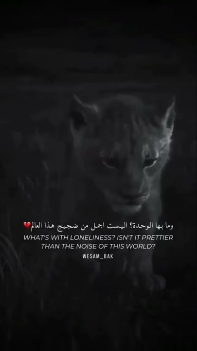 حالات واتس آب حزينة عن الوحدة ✨☹️💔