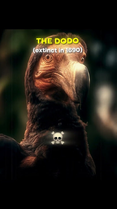 Extinct Animals Brought Back to Life | Is This Our Chance to Save the Earth?