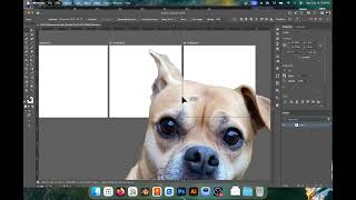 Adobe Illustrator 2026 / Mod 5: Avatar / New File Setup and Embedding Image Reference