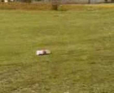 bomba salfumant en caleruega