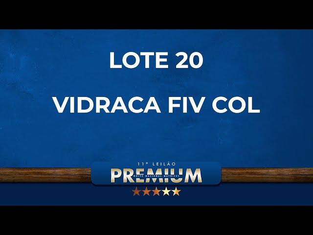 LOTE 20   VIDRACA FIV COL   COL 28667   COL 30398