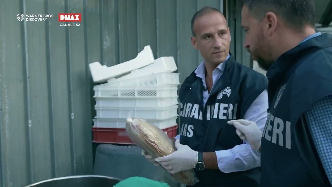 I NAS sono coinvolti in una operazione di controllo in un caseificio di Roma