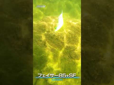 岩に当てて回避させるフェイサー85+SFロングリップの水中映像【Vish 奥田学ビッグセオリー】 #shorts