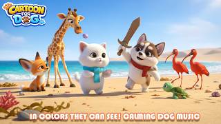 Dog Cartoon 🐶 Stop Separation Anxiety Fast – Soothing TV for Home Alone Dogs screenshot 5