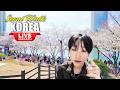Myeongdong Snow Walk Seoul Winter Night Street Walk Seoul Travel 