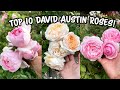 Top 10 most beautiful david austin roses for 2022 