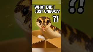 Unboxing the derpiest animal 👀📦 #snake #unboxing #derpy #reptiles