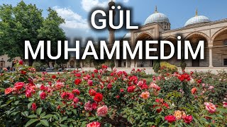 GÜL MUHAMMEDİM OZAN BİRGÜL YENİ İLAHİLER 2026