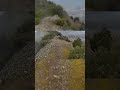 Крымский лайт | t.me/MountainManArs