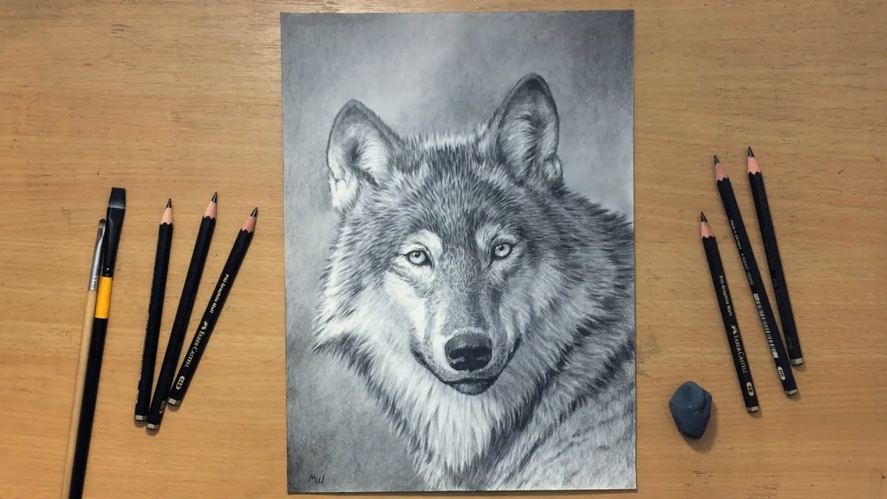 Graphite Pencil Drawing of a Wolf - YouTube