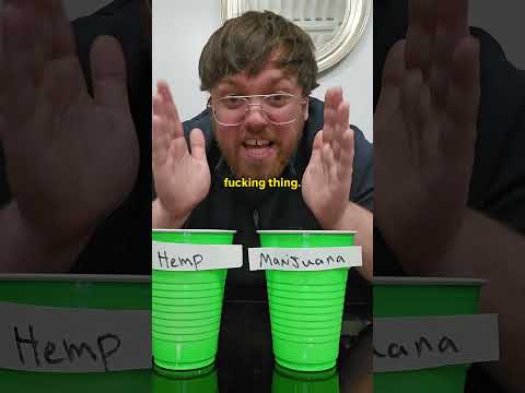 Marijuana 🆚 Cannabis 🆚 <strong>Hemp</strong>