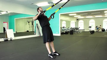 TRX Isometric High Row Hold