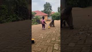 Ekskjdudydvdvd r dndk