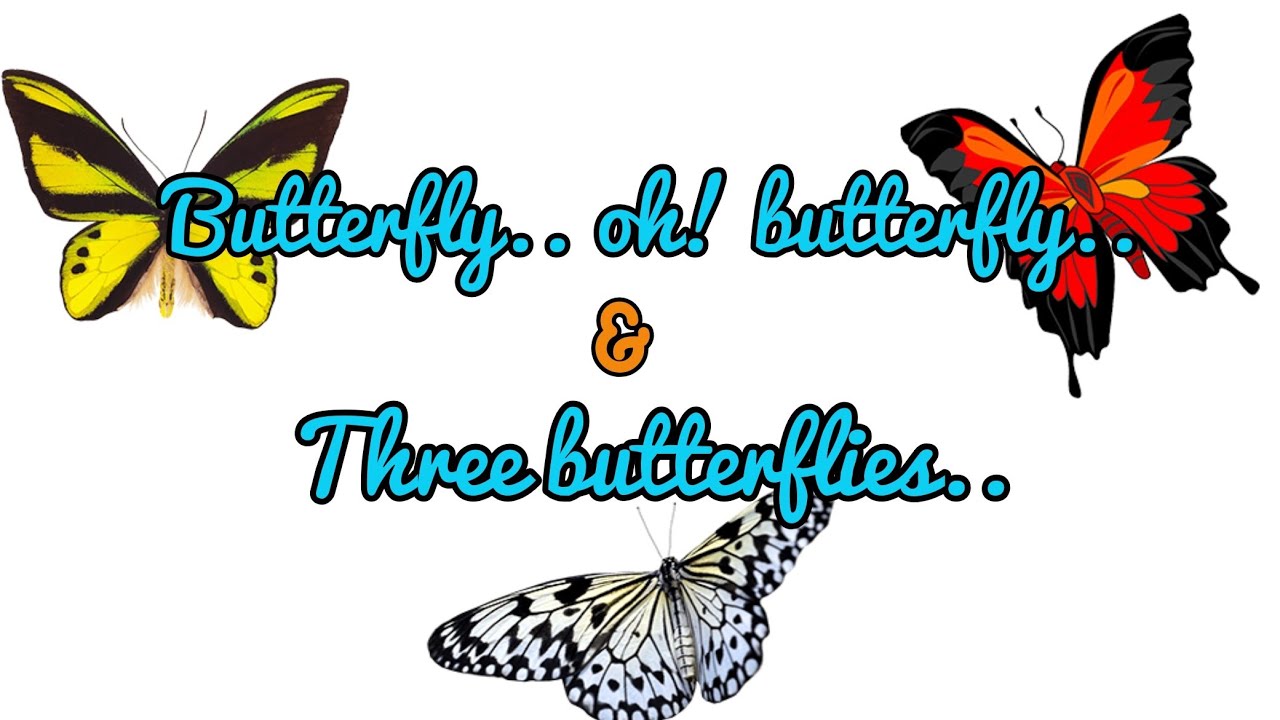 Butterfly.. oh! butterfly Three butterflies... Butterfly songs