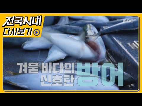 [LIVE] 생방송전국시대경남) 2019 사랑의 김치 나눔 페스티벌  울산) 방어 파수꾼들의 나사리 루어낚시  안동) <strong>농촌마을</strong> 복합문화공간 안성예탕  포항) 청년커뮤니티