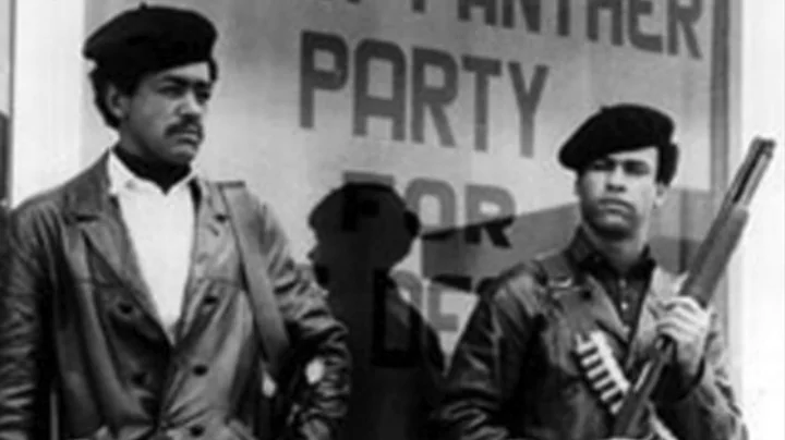 Remembering the Black Panthers: An Interview with ...
