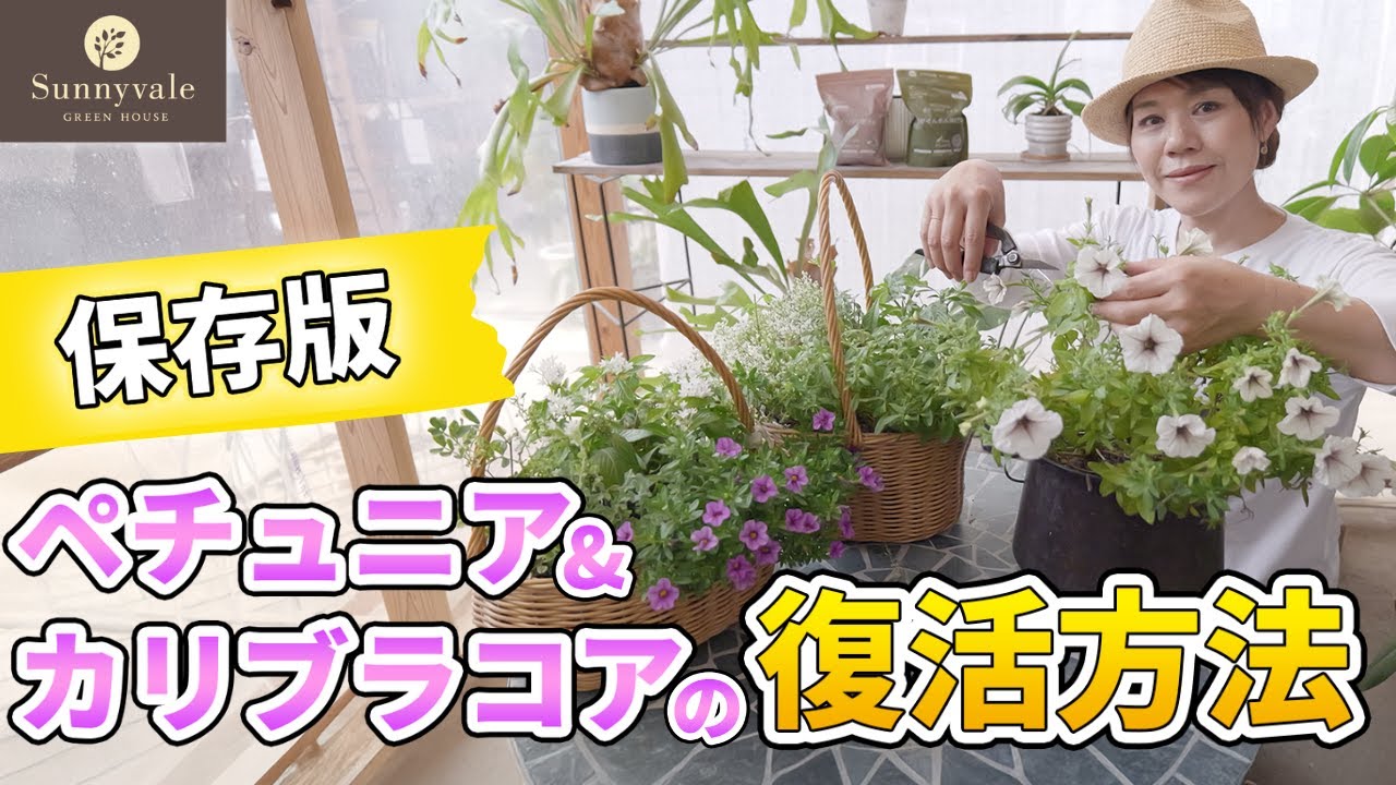 Demonstration included!] Rescue at the end of summer! A pro will