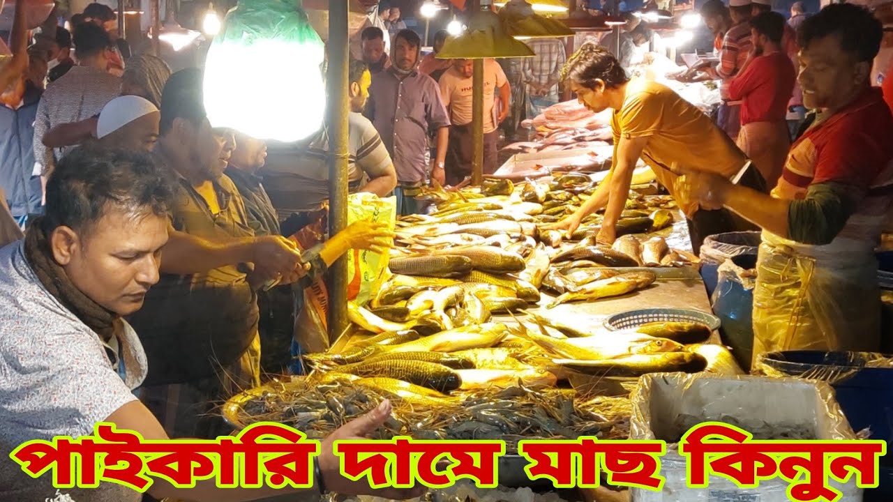 পাইকারি মাছের দাম গুলো জেনে রাখুন / Jatrabari Wholesale Fish Market 21 February 2026 || My Life