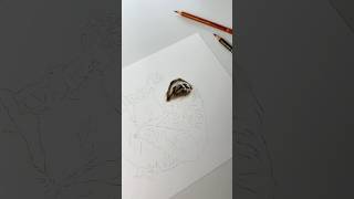 Famous Drawing a sloth’s head in coloured pencils 🦥✍🏼 #asmr #polychromos #sloth #art #drawing Net Worth
