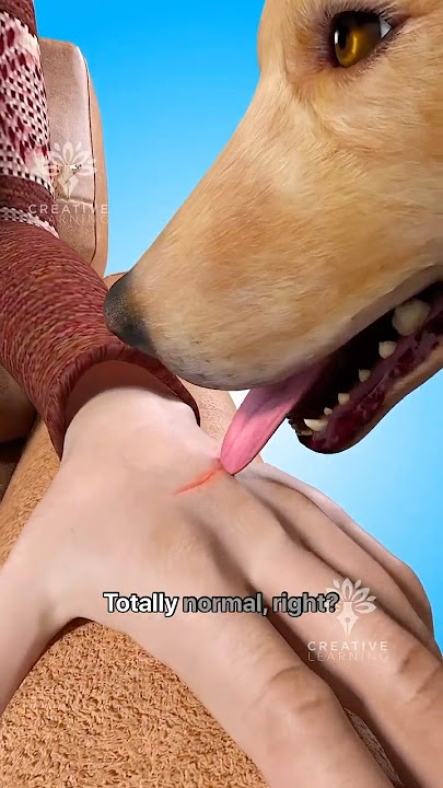 Can a Dog’s Lick Be Deadly? Her Story Will Shock You 😱 #short - Creativelearning3d