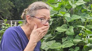 My SHOCKING surprise in the bean vines caught on camera!