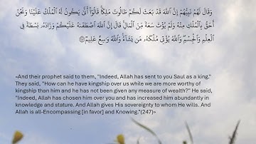 سورة البقرة - صفحة 40 - محمد صديق المنشاوي