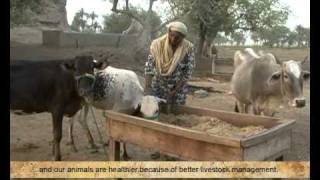 Oxfam - Dairy Sector in Pakistan