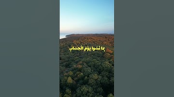 {وَلا تَتَّبِعِ الْهَوَى فَيُضِلَّكَ عَن سَبِيلِ اللَّهِ } تلاوة هادئه الشيخ سعود الشريم   سورة ص