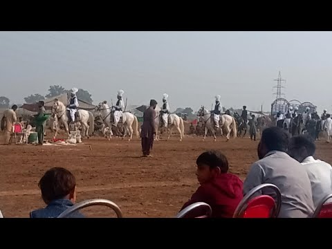 Live Gulzar tv [ #HassalSharif - #حصال_شریف ] - YouTube