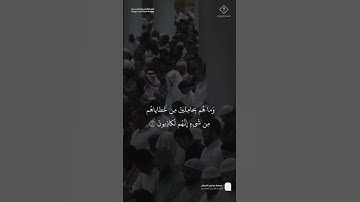 مقتطف من تلاوة فضيلة الشيخ #محمد_برهجي من صلاة العشاء 21 ربيع الآخر 1447هـ