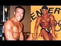 Could Jean Claude Van Damme have been a bodybuilder?