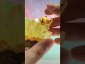 Pokémon Gemstone Collection 포켓몬 젬스톤 컬랙션