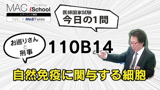 110B14 動画で学ぶ医師国試（MAC）自然免疫に関与する細胞（今日の1問）
