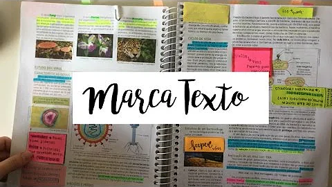 Como usar marca texto para estudar?